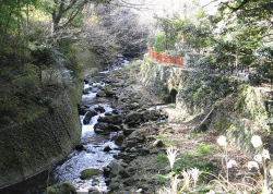 万葉公園